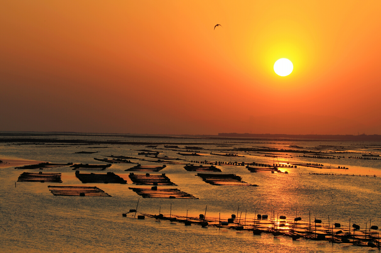 來廈門，暢游“小嶝、大擔”！