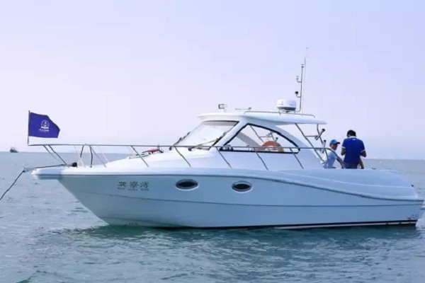 大飞洋 30
