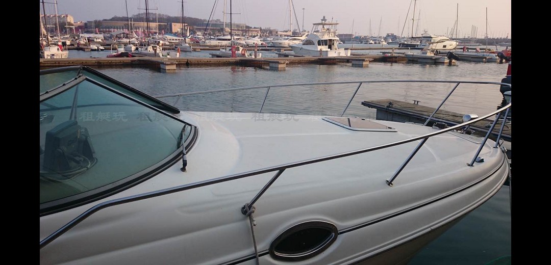 Sea Ray 315 Sea Ray 315