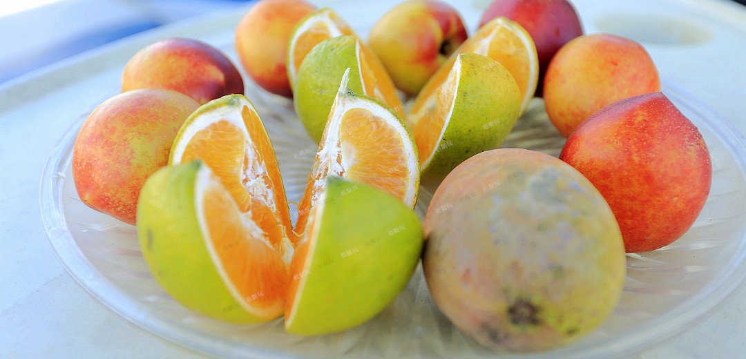 6.4米運(yùn)動(dòng)快艇 6.4米運(yùn)動(dòng)快艇